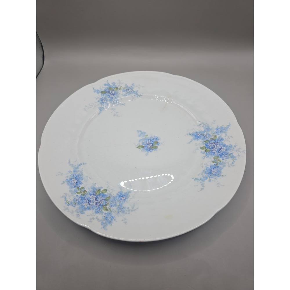Antique Thomas Sevres Handpainted‎ Buchanan Studios 1915 Forget Me Nots 9.25"